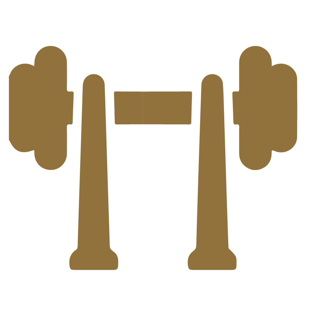 Icon_Clubhouse page_Gym